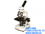 mik-xs-2610